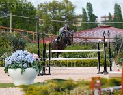 CAPPONI ROYAL STAR ItaAss2013- S5 1214 : CAPPONI FRANCESCA, Campionati Italiani 2013, Cattolica, Horse Riviera Resort, ROYAL STAR, foto di Stefano Secchi ©